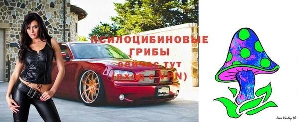 a pvp Алзамай