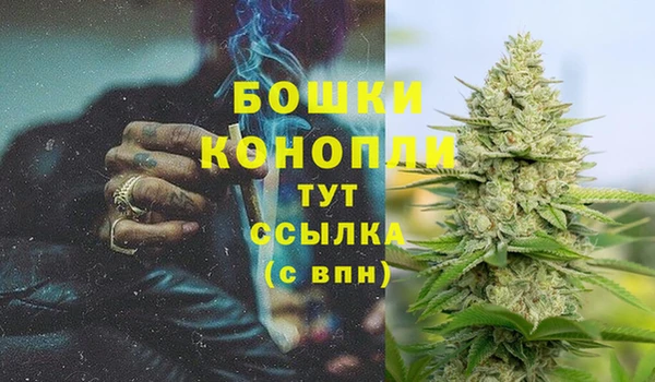 МДПВ Беслан