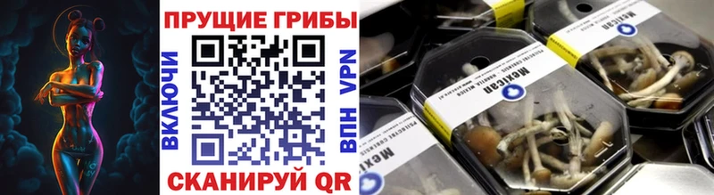 Псилоцибиновые грибы прущие грибы сайты даркнета официальный сайт Кизляр