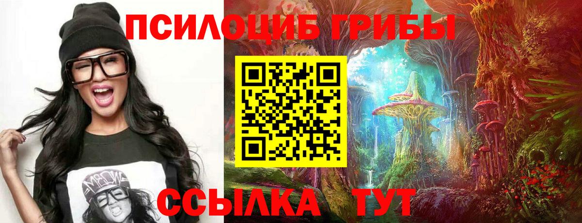 Псилоцибиновые грибы GOLDEN TEACHER Кизляр