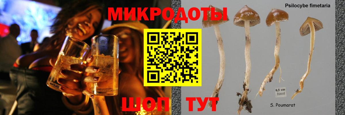 Псилоцибиновые грибы MAGIC MUSHROOMS  Вход с VPN  хочу   Кизляр  Галлюциногенные грибы GOLDEN TEACHER 